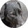 Sherl Cayton profile picture